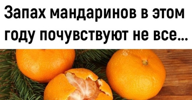 Что съесть, когда вкуса нет?
