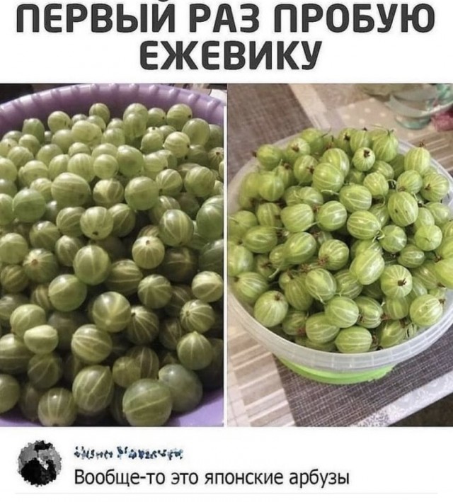 Картинки и мемы для настроения 01.12.2021