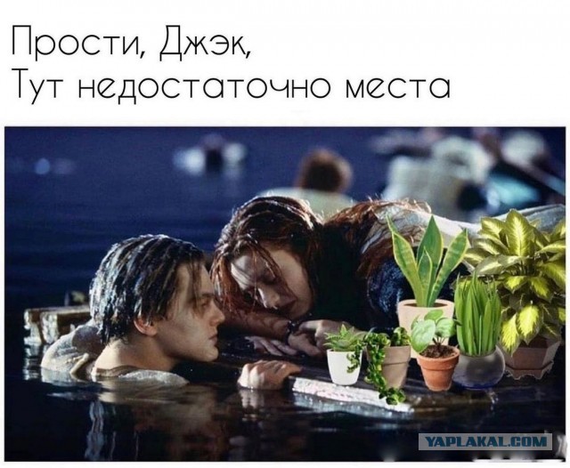 Особенности женского поведения. Три этапа в отношениях