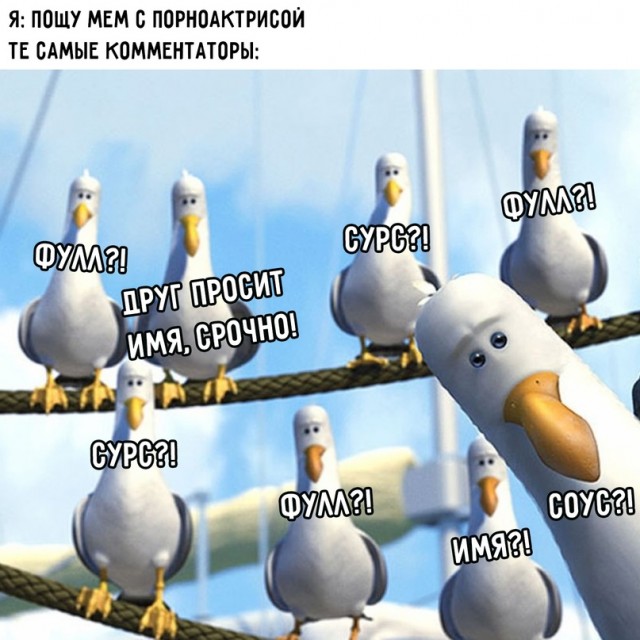 Человек собаке друг и другие картинки и мемы  под настроение