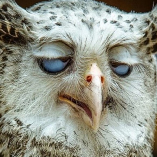 Это подстава!