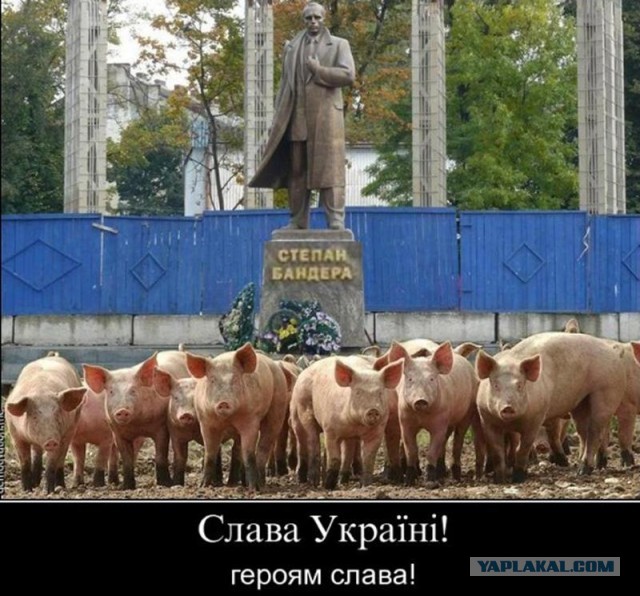 Беженцы из Украины в Германии