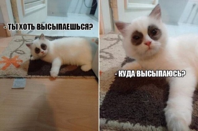 Так себе картинки 03.05.22