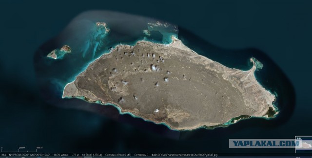 Ублюдки Карибского моря