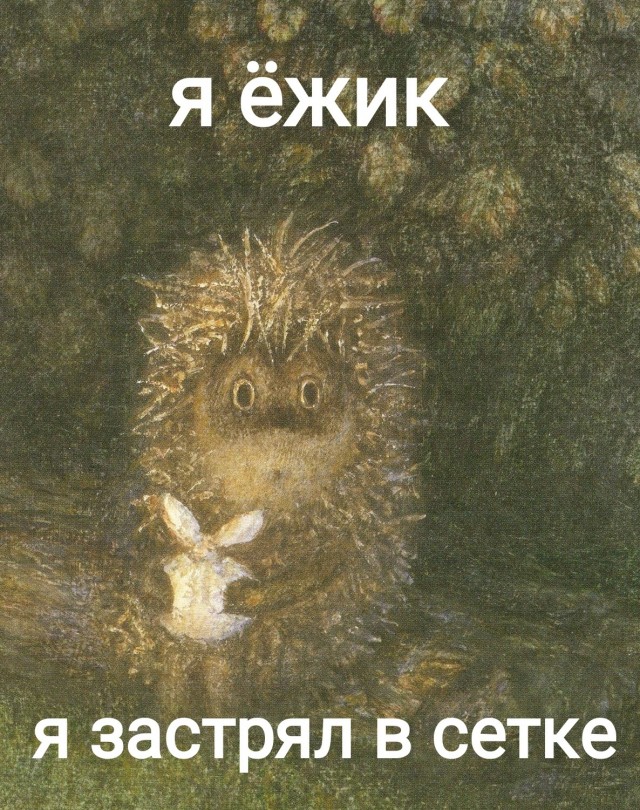 Еж застрял