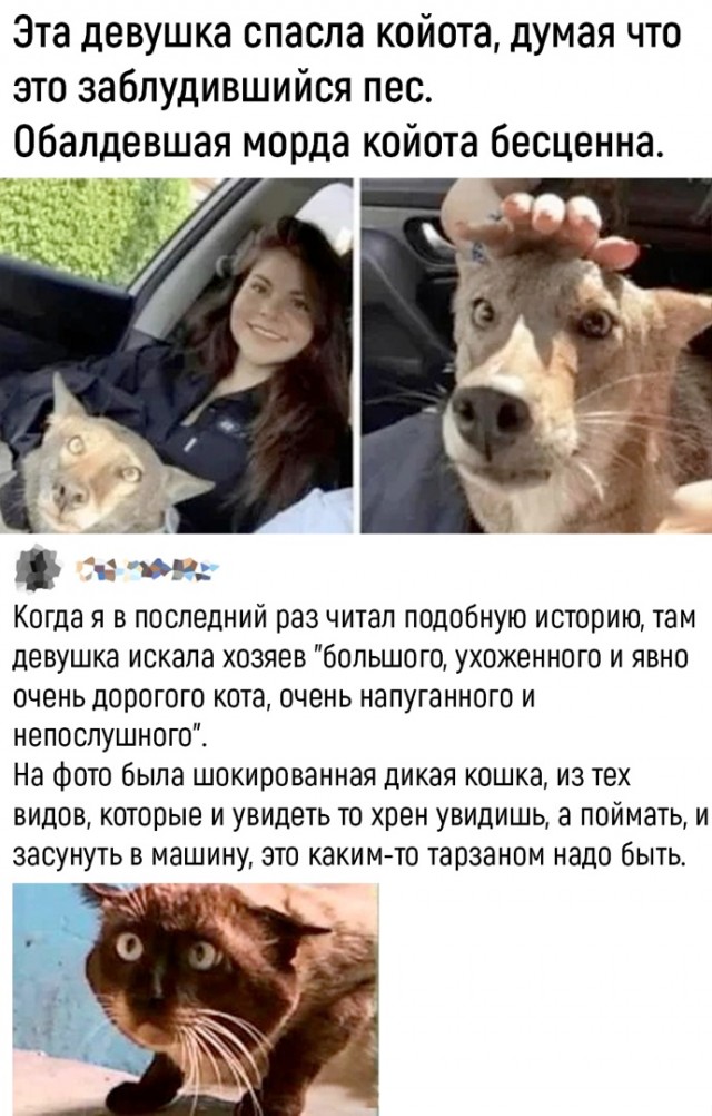 Так себе картинки 24.06.22