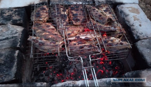 Пост о жизни на деревне