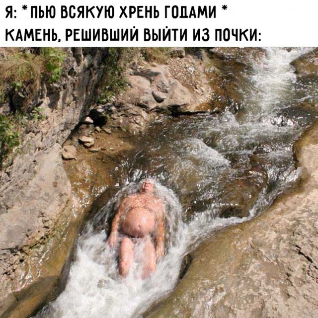 Весёлый полтишок 02.10.22