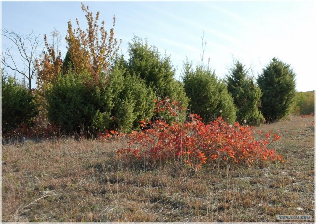 Крым. Змеиная балка. Терень-Джалга.
