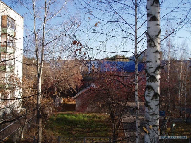 Изменения природы