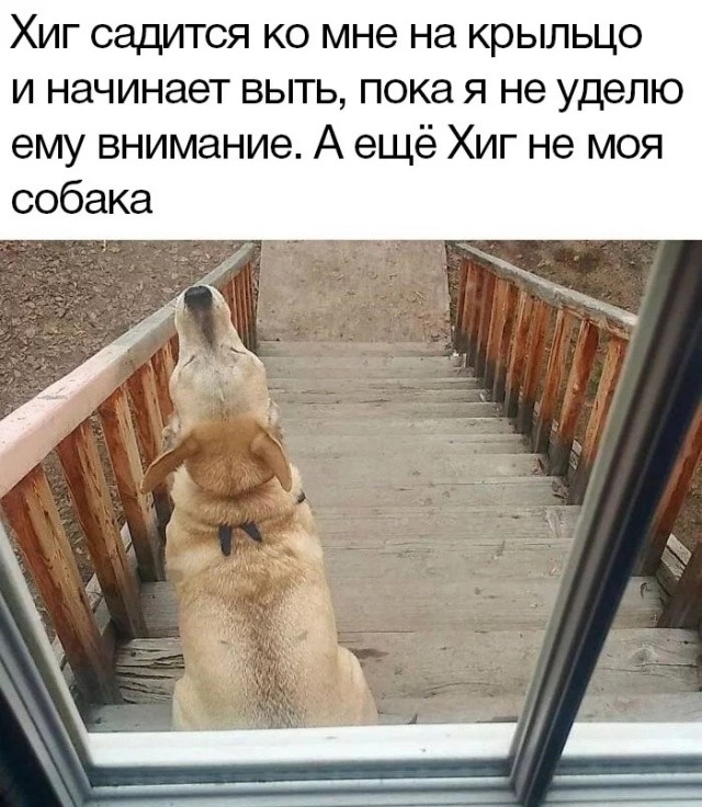 Так себе картинки 10.01.23