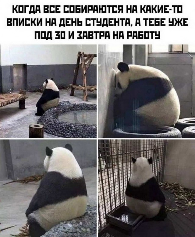 Картинки и мемы, всем хороших выходных