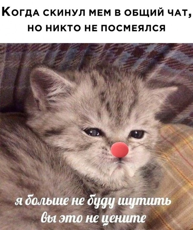 Картинки и мемы для настроения - 181