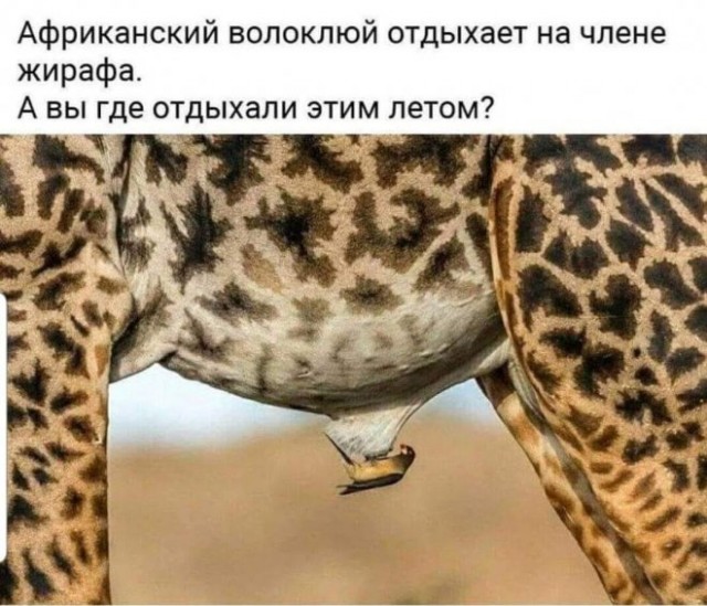 Год назад. Доклад ООН про изменение климата: худшее впереди