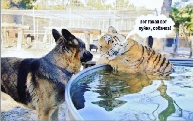 Ну как ты там?