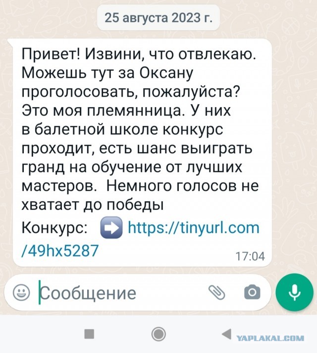 Не голосуйте за «племянницу»