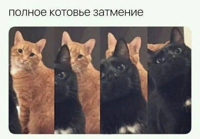 Скриншоты и комментарии из социальных сетей 29.09.23