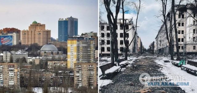 Как - то неудобно должно быть, другим властям