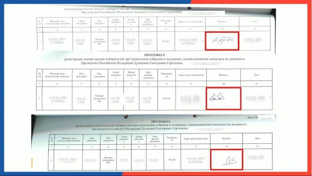 ЦИК посчитал странной подпись котиком участника инициативной группы Екатерины Дунцовой