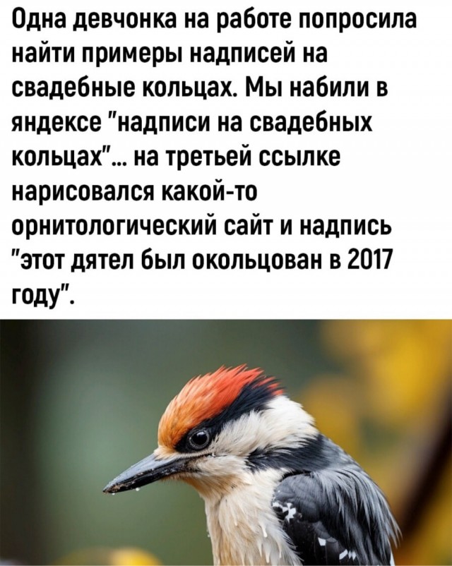Маленькая пятница