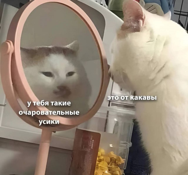 Всего понемногу. От 02.04.24