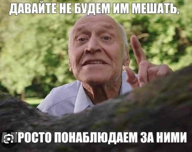 Однако в Новосибе бушуют не детские страсти