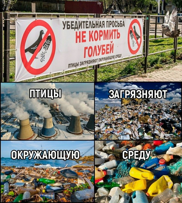 Звери...⁠⁠