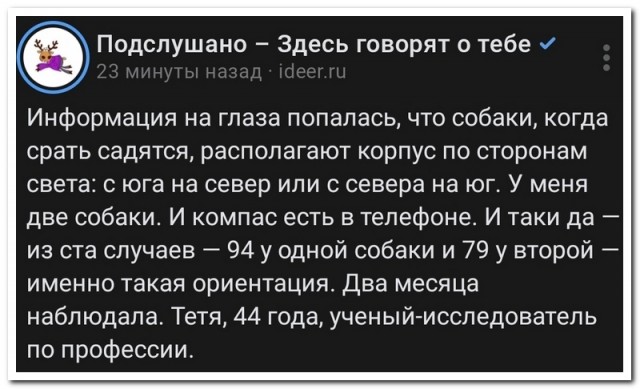 Забавные комментарии из социальных сетей (21.05.24)