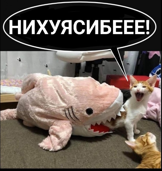 Испытание спасательного судна
