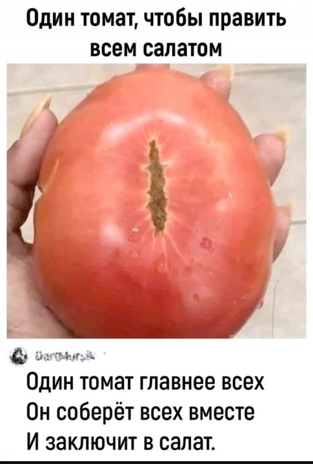 Кольцо неразрушимо