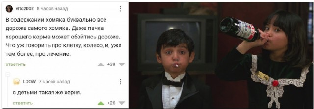 Так себе картинки 08.12.24
