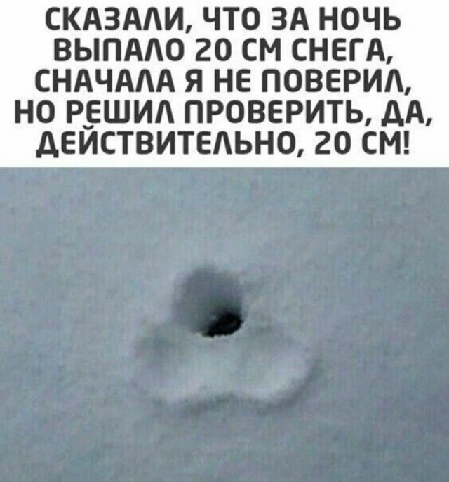25 картинок от начальника автопарка
