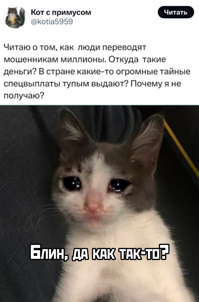 Так себе картинки 10.03.25