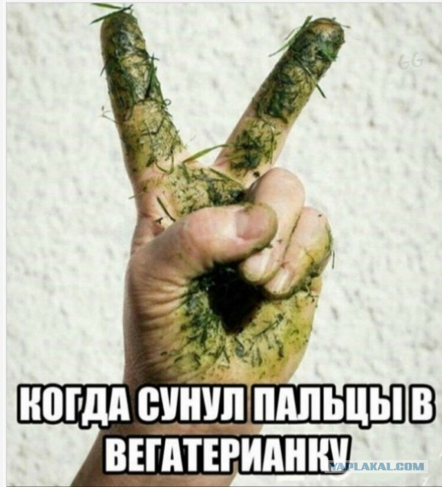 Веселые картинки