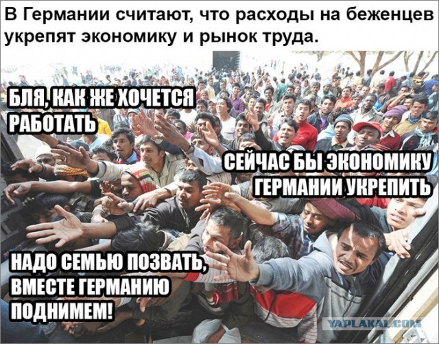 Картинки для деградации-5 (разной степени свежести)