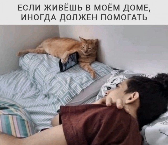 Веселое настроение в картинках 08.08.25