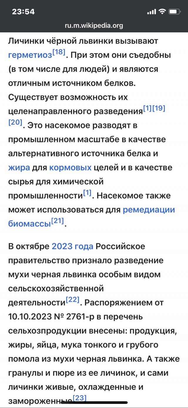 Как вам предложение?
