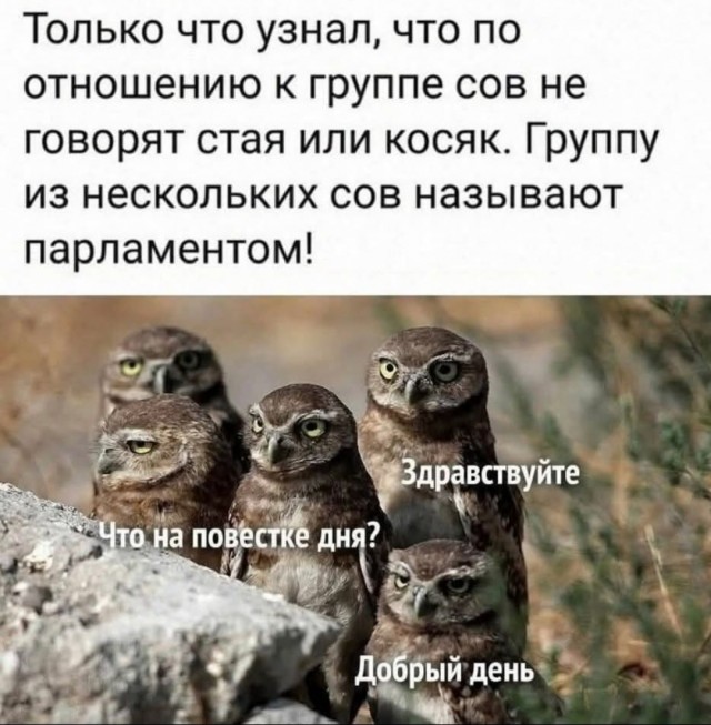 Маленькая пятница 03.12