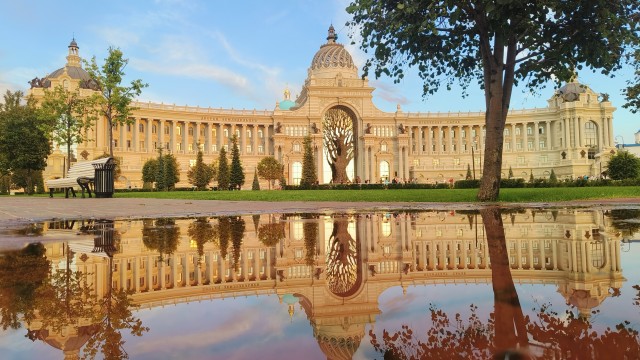 Моя мобильная фотография.