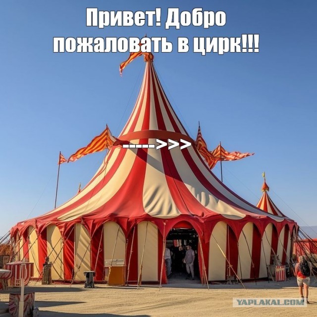 На что была похожа прямая линия