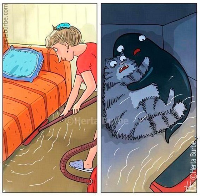 Котик потерялся