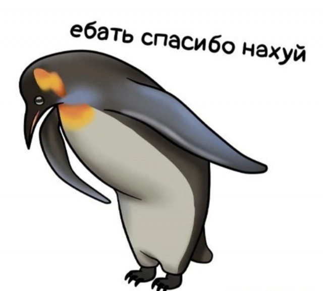 Кому противопоказано купаться в проруби — рассказали врачи