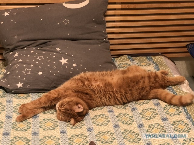 Потягушеньки