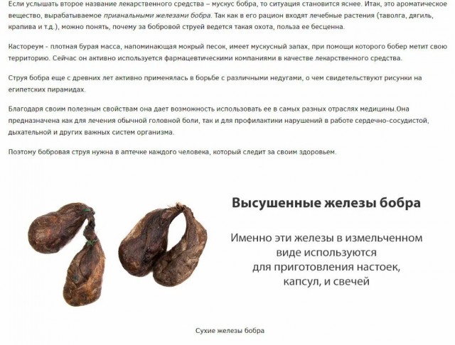 Бобр, курва, всё...