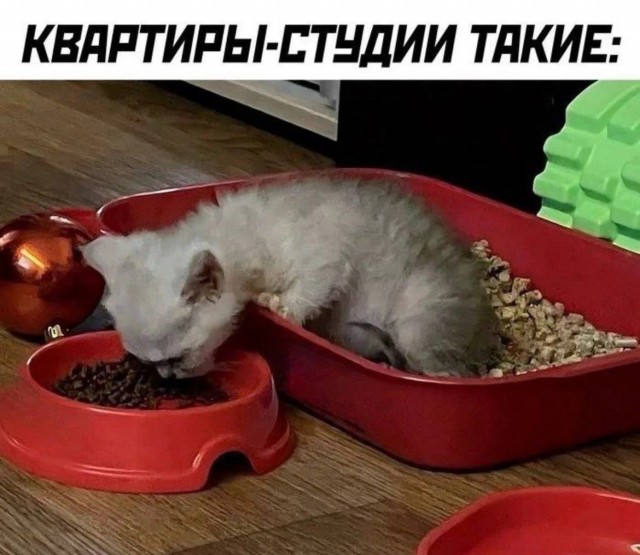 Картинки для деградации 188 (разной степени свежести)