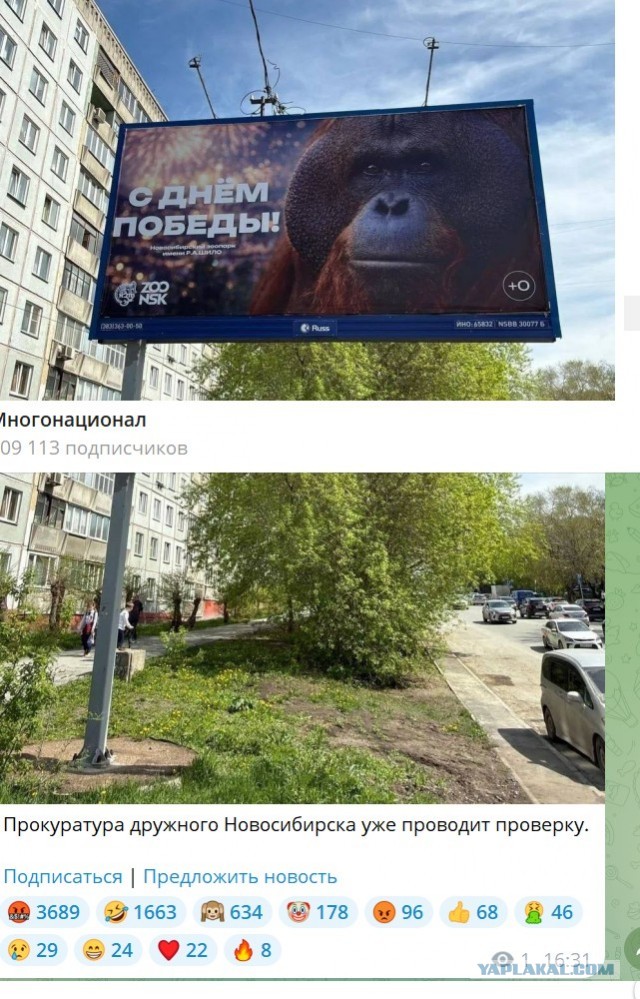Yandex
