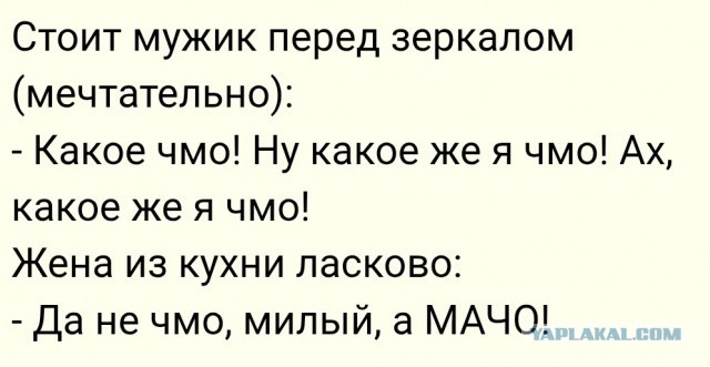 Девчонки, чей мачо?