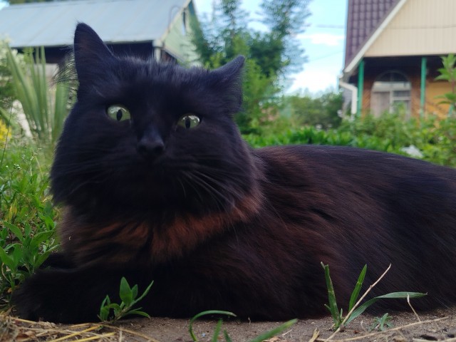 Котское.