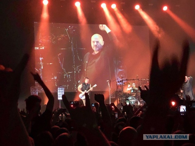 Музыка и музыканты: Disturbed