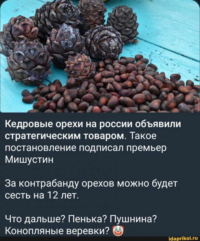 «Весёлый молочник» Уолкер рассказал об итогах визита в УФМС